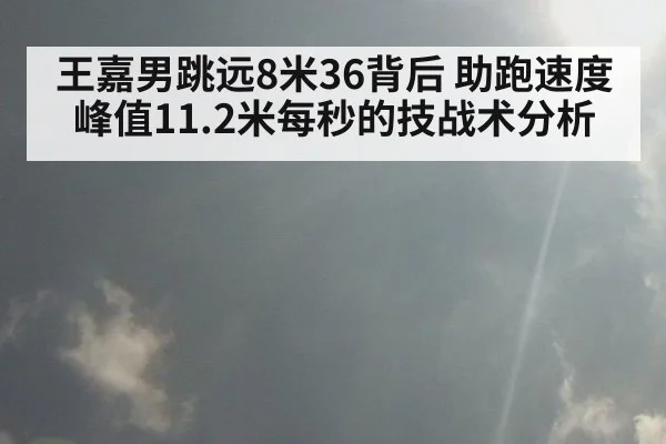 王嘉男跳远8米36背后 助跑速度峰值11.2米每秒的技战术分析